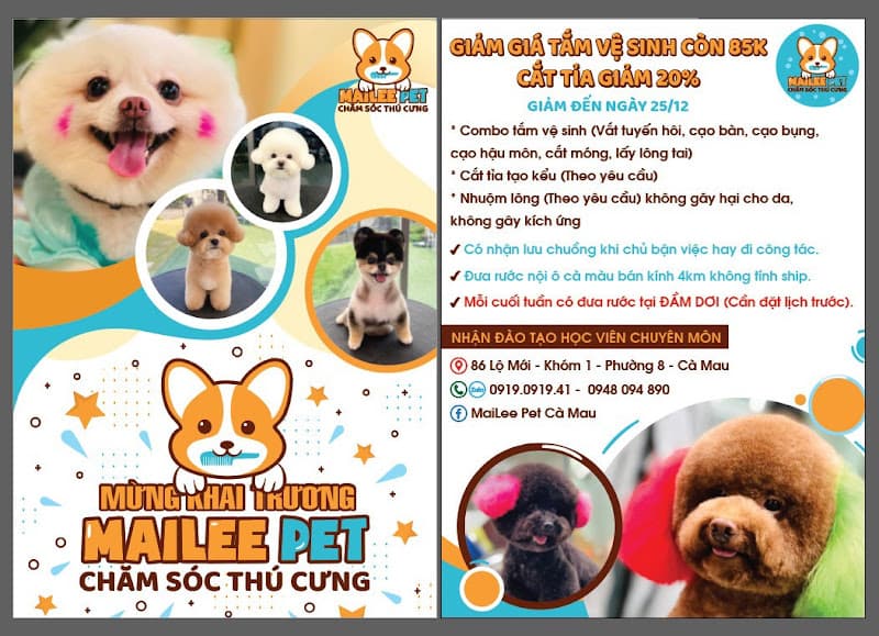 Hình ảnh Cắt Tỉa Lông - Spa Thú Cưng Mailee Cà Mau - 3