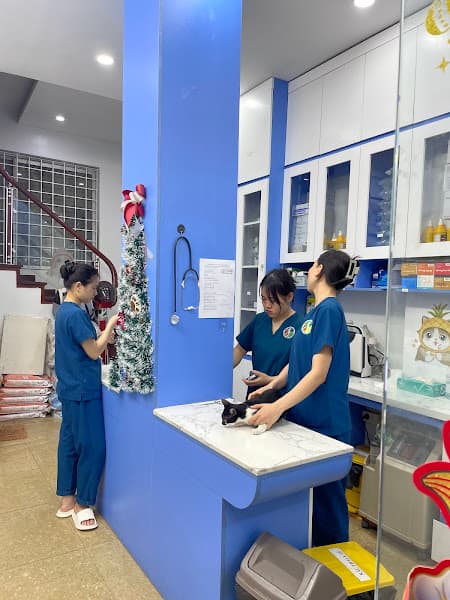 Hình ảnh Bệnh Viện Thú Y Tropicpet Cầu Giấy - 2