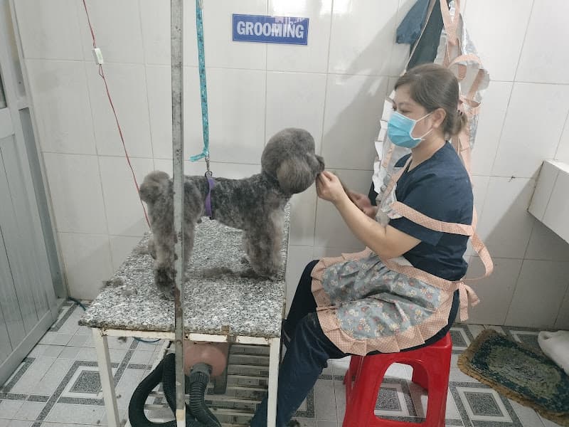 Hình ảnh Phòng Khám Thú Y Lê Như - Lai Vung - 4