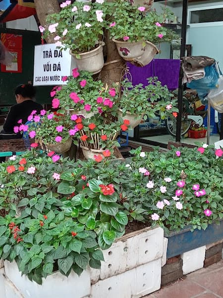 Hình ảnh Quán An Nhiên - 4