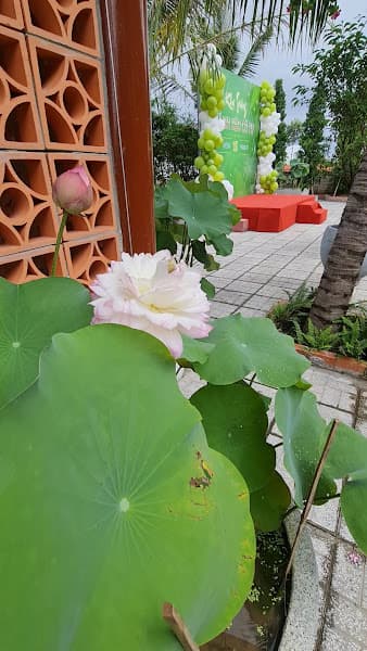 Hình ảnh BÁNH XÈO CÔ TƯ - 3