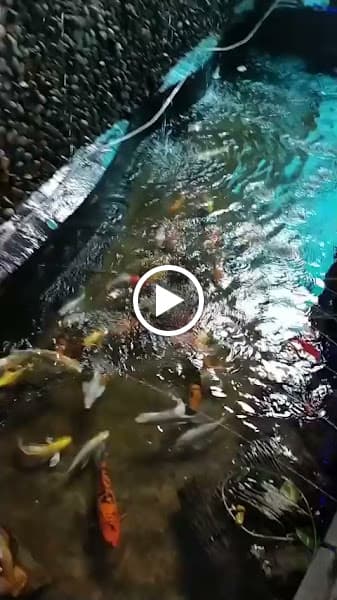 Hình ảnh Karaoke 109 - 5