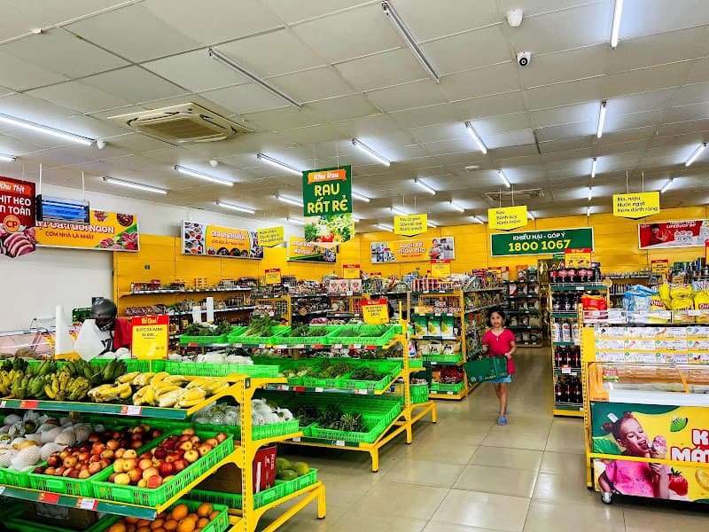 Hình ảnh Siêu thị Bách hoá XANH Ấp Tân Bình - 3