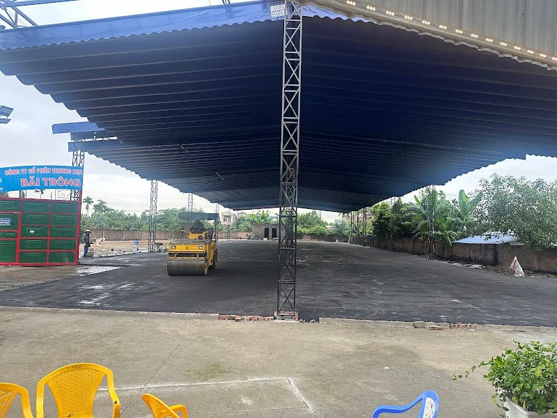 Hình ảnh Pickleball Hồng Ngọc - 4