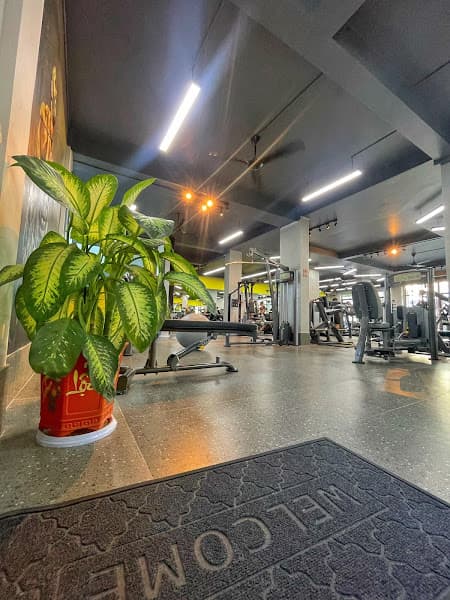 Hình ảnh The An House - Gym, MuayThai & Boxing - 2