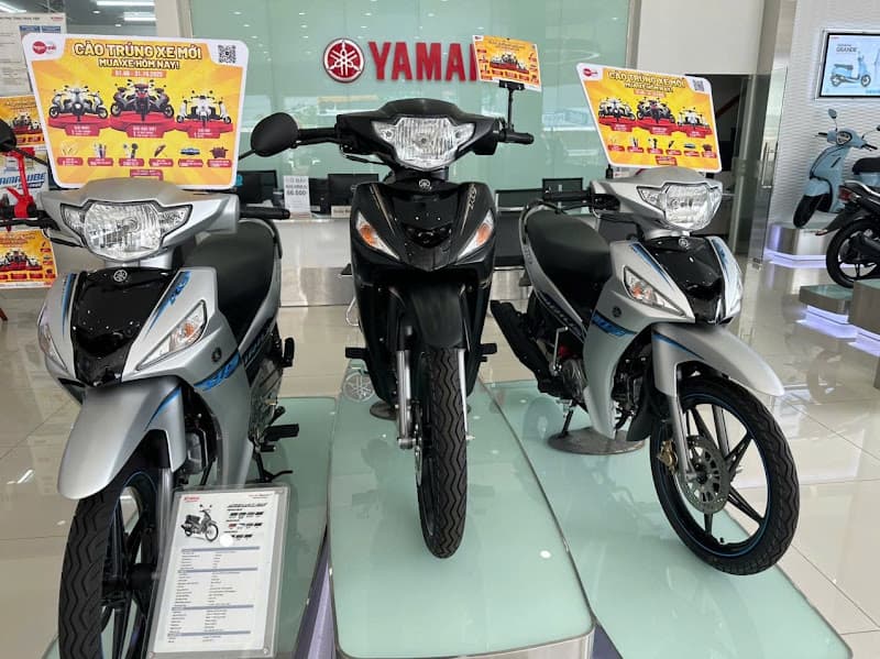 Hình ảnh Xe máy - Xe điện Ngọc Anh (Năm Căn) - 2