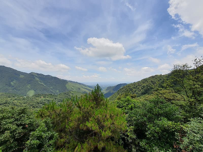 Hình ảnh Nhà Hàng Xứ Hoa Đào - 4