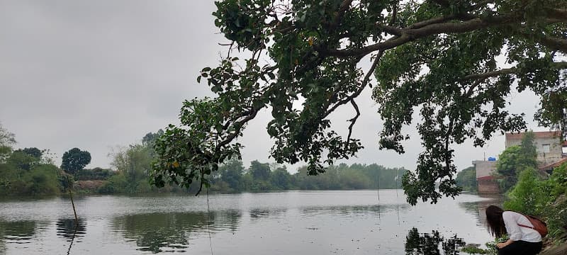 Hình ảnh Di Tích Lịch Sử Cây Đa Sài Thị - 3