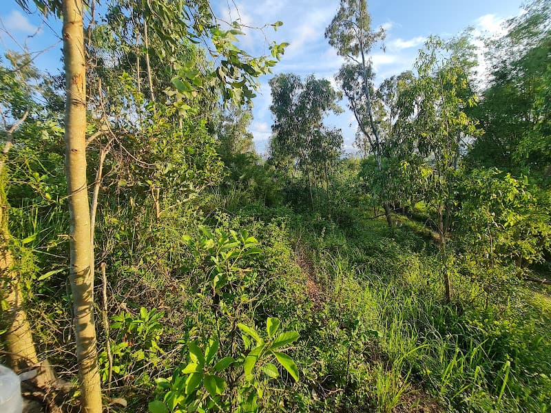 Hình ảnh Thành cổ Châu Sa - 5