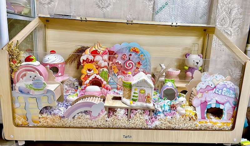 Hình ảnh Home Pet's - Chuột Hamster Hải Phòng - 4