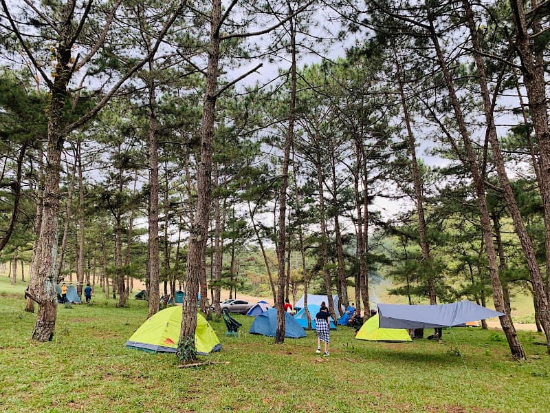 Hình ảnh Đồi Cỏ Hồng Đà Lạt - 2