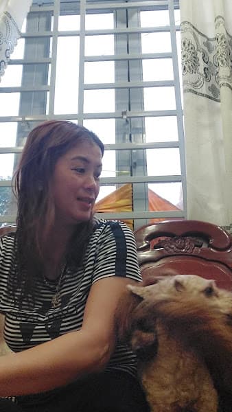 Ảnh bìa Quán Sông Quê