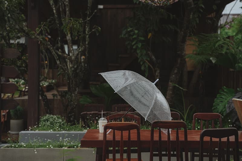 Ảnh bìa Tiệm cà phê Bình Minh Ơi