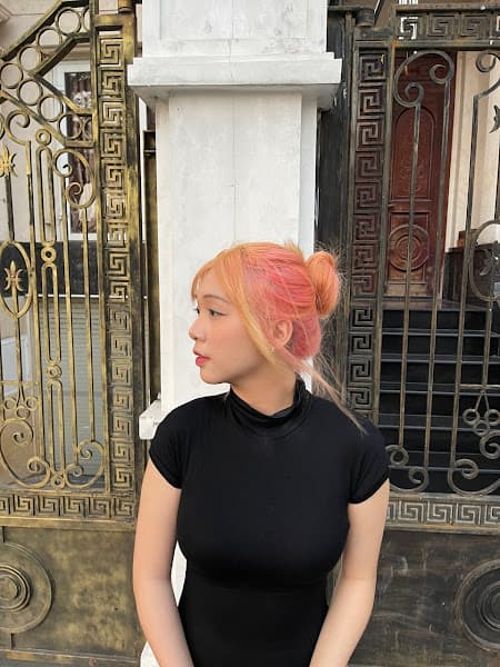 Hình ảnh Thuốc Nhuộm Tóc Minzihair HCM - 3