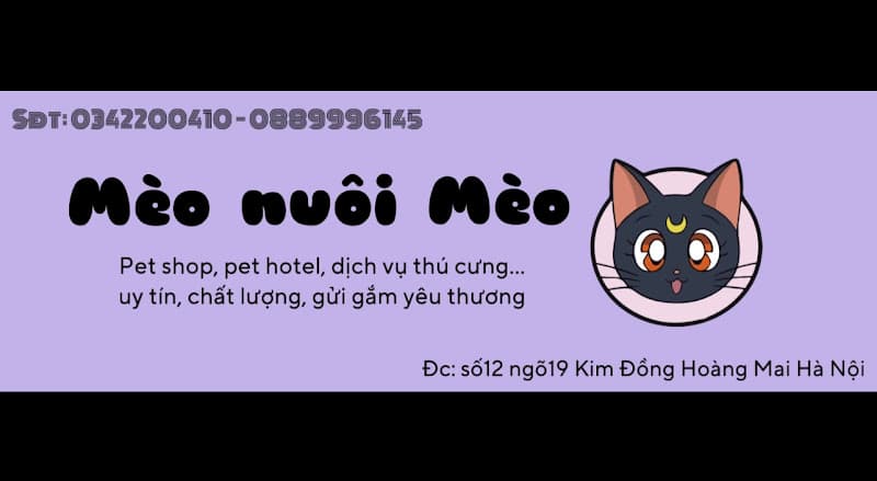 Mèo Nuôi Mèo Petshop