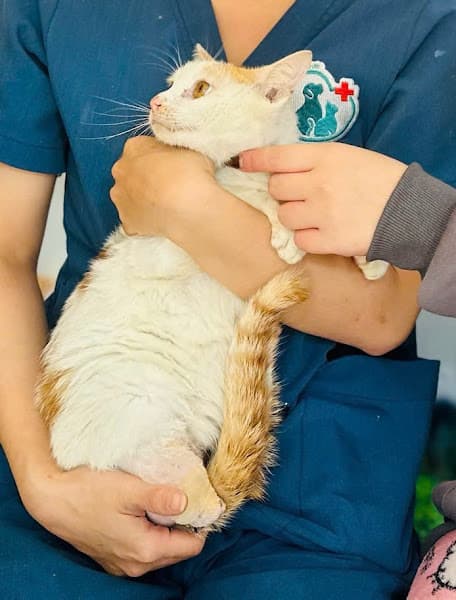 Hình ảnh Phòng Khám Thú Y Ngọc Lâm - 3