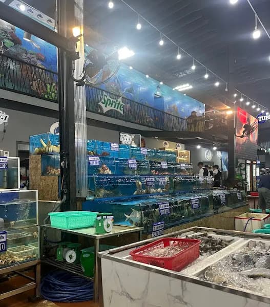 Hình ảnh Hải Sản Tự Do 2 - 2