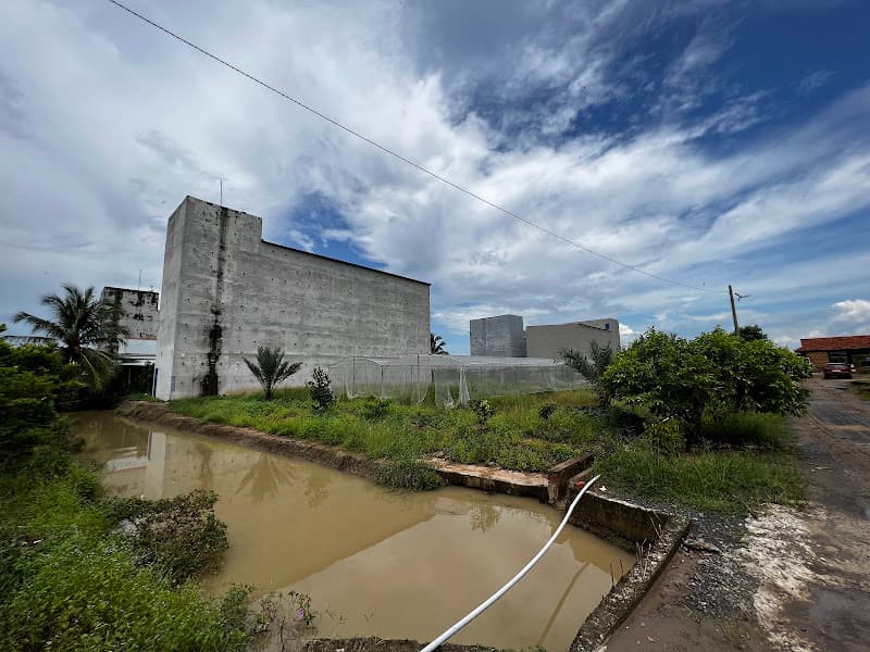 Hình ảnh Công ty TNHH YẾN SÀO KIM OANH - 2