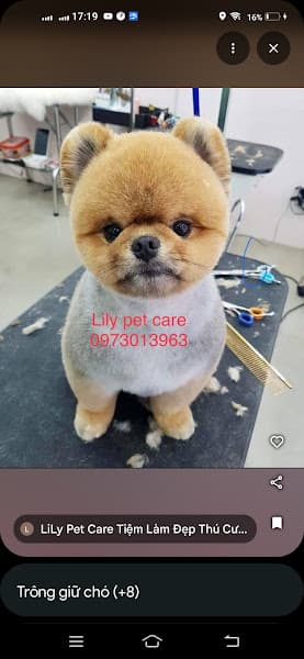 Hình ảnh LiLy Pet Care Tiệm Làm Đẹp Thú Cưng - 3