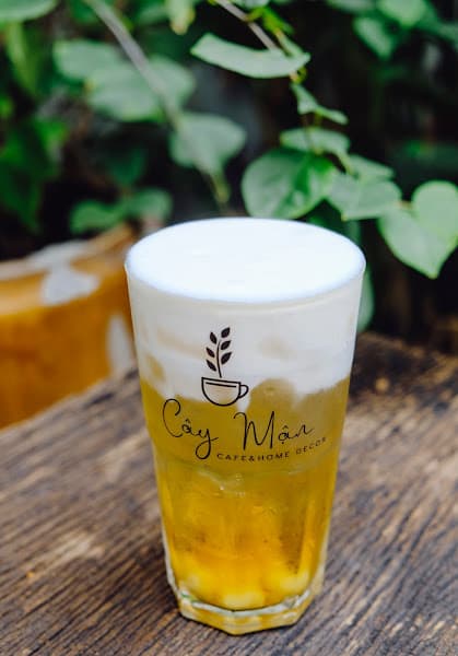 Hình ảnh Cây Mận Cà Phê - 3