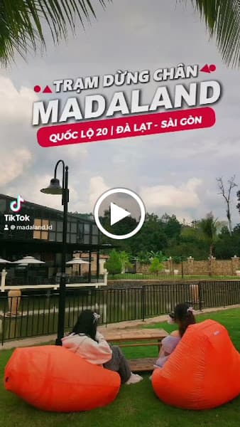 Hình ảnh MADALAND - 5