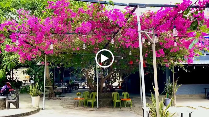 Hình ảnh RUỘNG Coffee & Homestay - 3