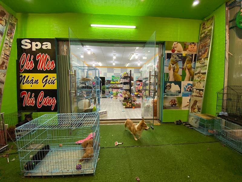 The Pet Shop Tây Ninh