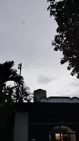 Hình ảnh Yến Sào Ông Chiến Bà Mười - 2