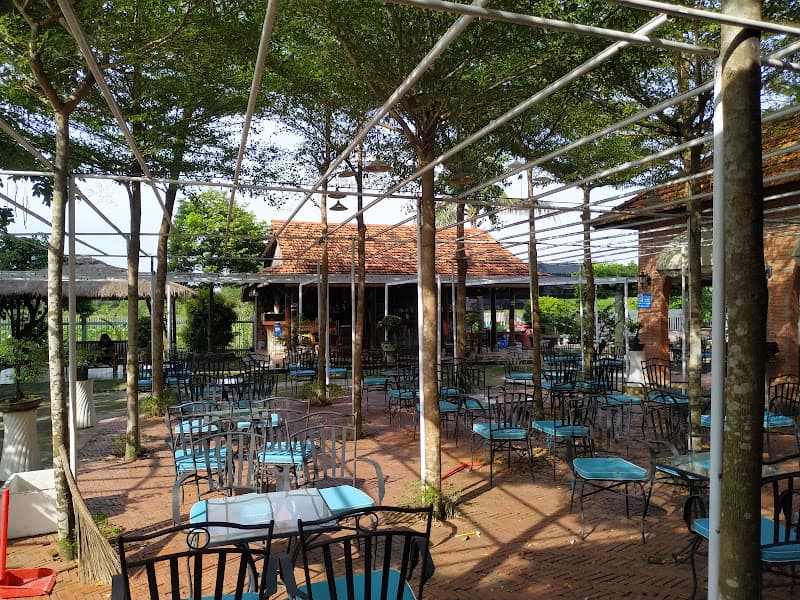 Cà phê Chim cảnh Việt