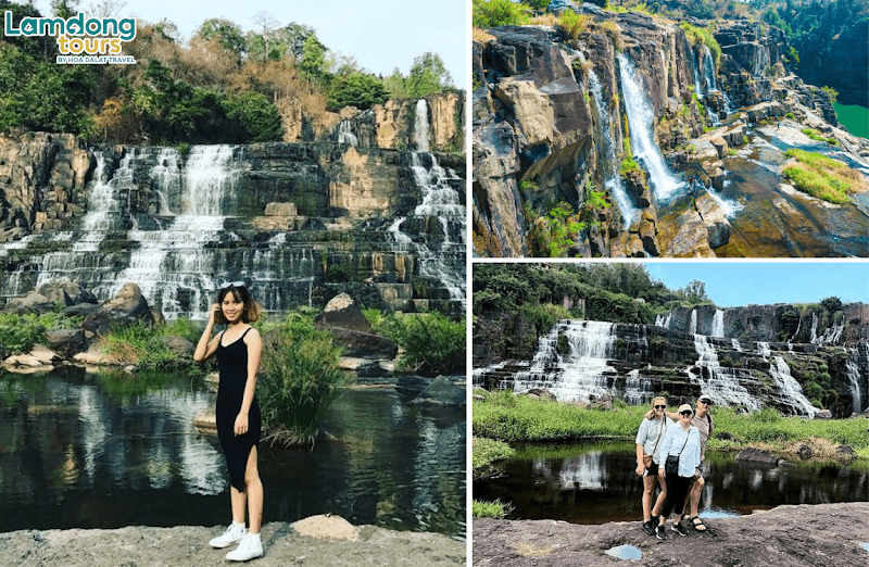 Hình ảnh Công ty du lịch Đà Lạt - Lâm Đồng Tours - 5