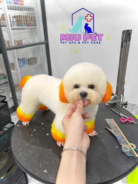 Hình ảnh Phòng Khám Thú Y MiuPet Tháp Mười - 4