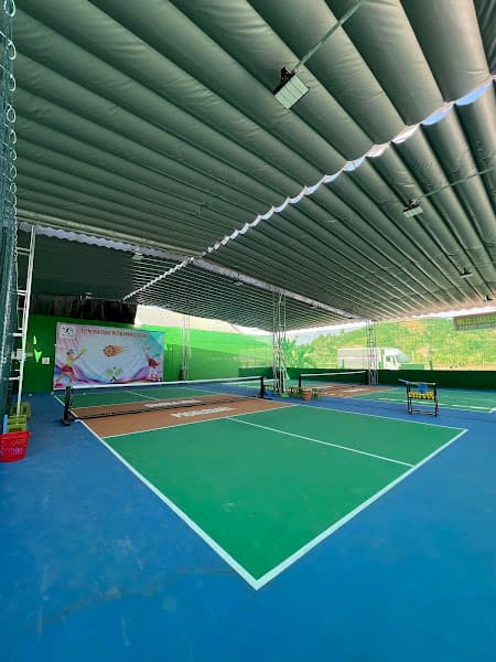 Ảnh bìa Tiền Phong Pickleball