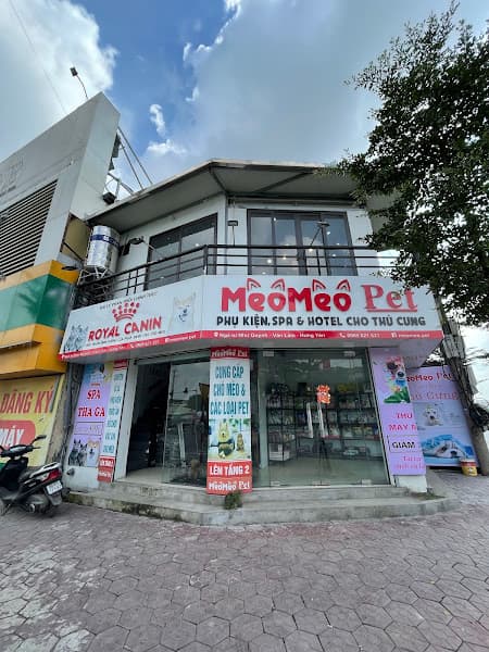 Ảnh bìa Như Quỳnh