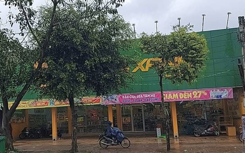 Hình ảnh Siêu thị Bách hoá XANH Thôn Kim Châu - 4