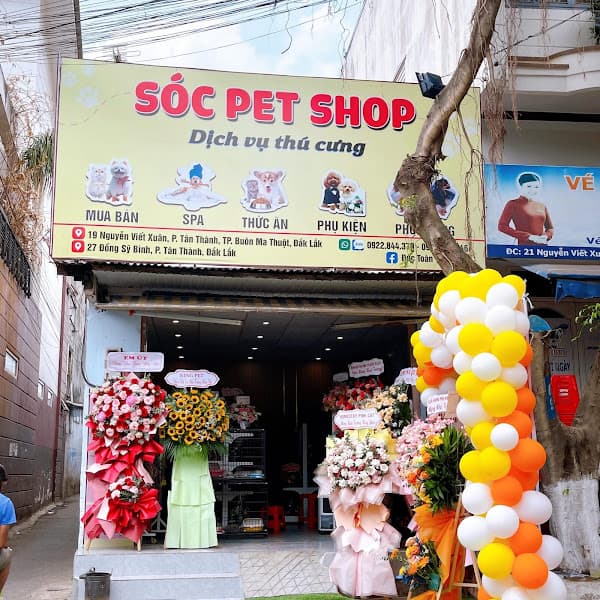 Hình ảnh Sóc Pet Shop Chó Mèo - Spa - Thức Ăn - Phụ Kiện - Phối Giống - Bmt - Đắk Lắk - 3