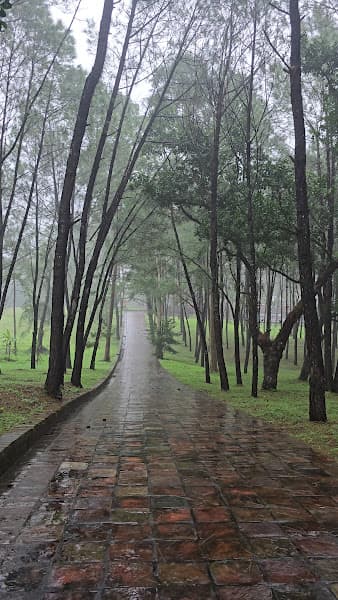 Hình ảnh Lăng Hoàng Thái Tử Nguyễn Phúc Cảnh - 5