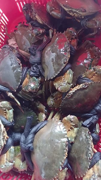 Hình ảnh Hải sản vân huề - 4