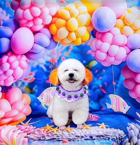 Thú Y - Spa - Pet Shop Hoàng Bảo