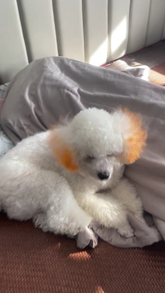 Hình ảnh Siêu Thị Tiện Ích An Nông - 2