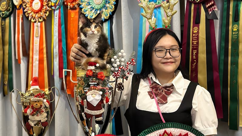 Hình ảnh Royal Grooming Spa- Spa tắm mèo chuyên nghiệp - 4