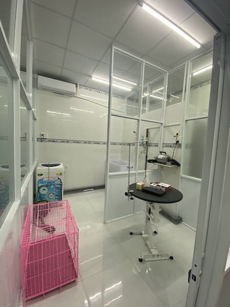 Hình ảnh Sam Pet - Phòng khám thú y - Dịch vụ thú cưng - thị xã Bình Minh - 5