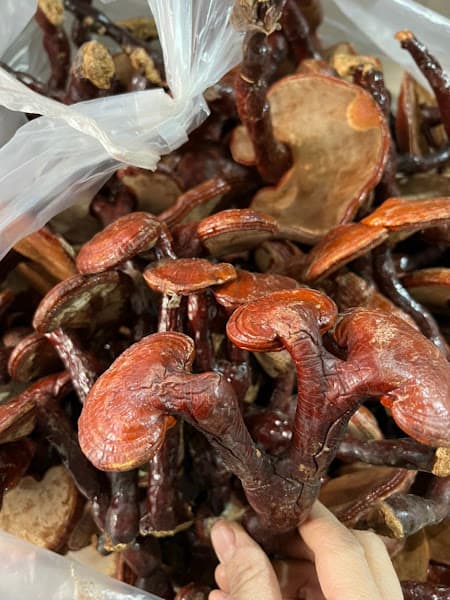 Đặc Sản Điện Biên