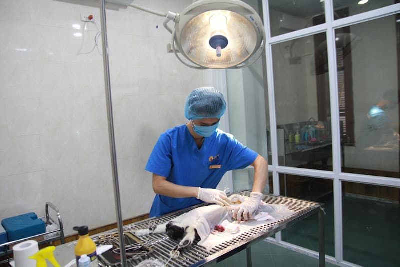 Hình ảnh Bệnh viện Thú y 2vet - Nghệ An - 6