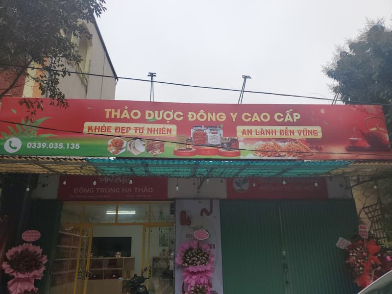 ĐÔNG TRÙNG HẠ THẢO TAKICHI- THẢO DƯỢC ĐÔNG Y CAO CẤP