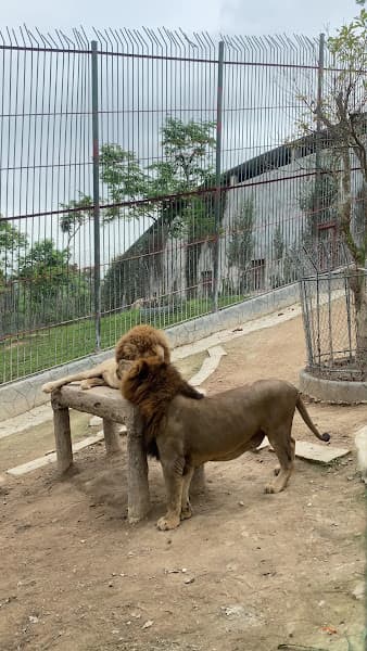 Hình ảnh Nhà hàng Hòn Nhạn - 3