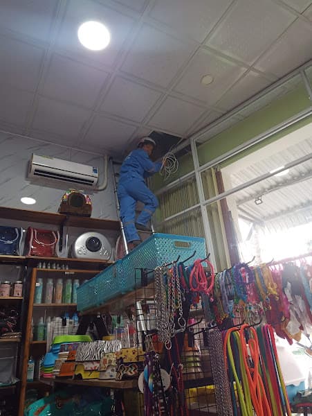 Hình ảnh Nếp PetHouse - 3