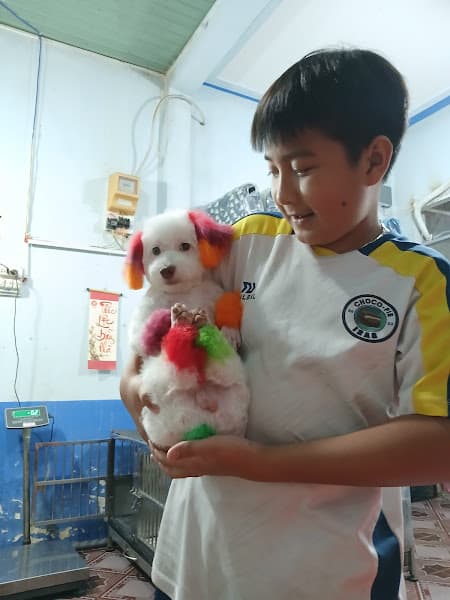 Hình ảnh Phòng Khám Thú Y Gold Pet - Bs Tới Tháp Mười - 5