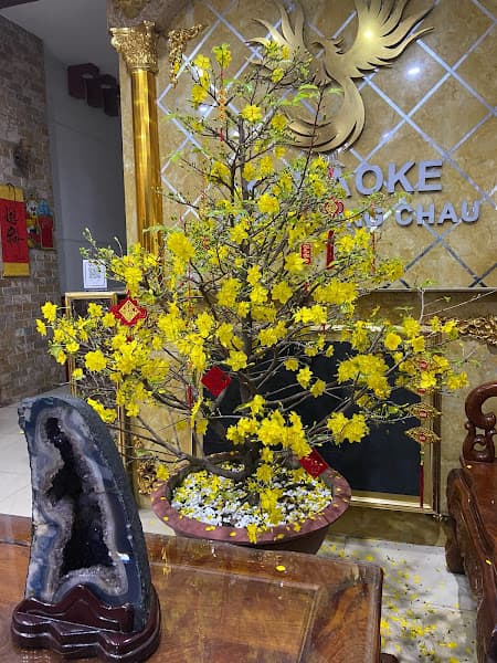 Hình ảnh Karaoke Hoàng Long Châu - 10