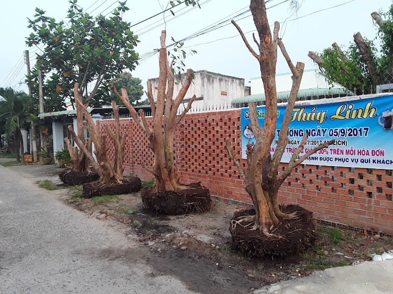 Hình ảnh Cà phê Thủy Linh - 4