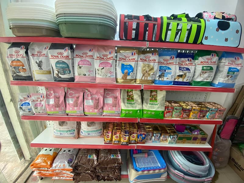 Hình ảnh COn Mều Shop - Cửa Hàng Thú Cưng Hải Dương - 5